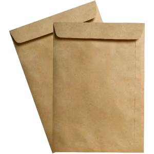 ENVELOPE SACO KRAFT 185x248mm (Unidade) - FORONI