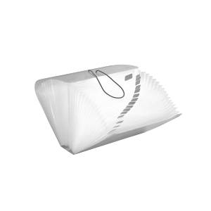 PASTA SANFONADA CHEQUE C/ 31 DIVISÓRIAS CRISTAL - ACP 